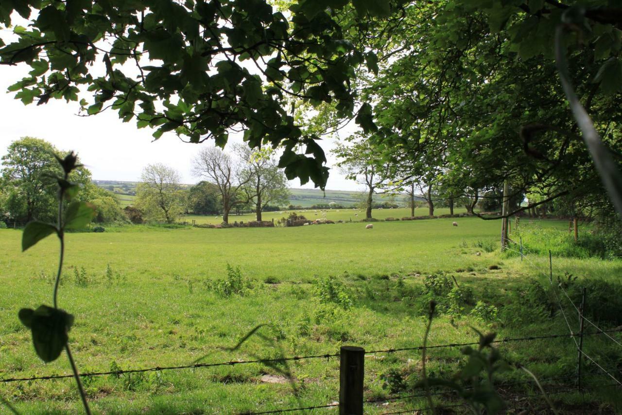 Ty Llwyd Bed & Breakfast Treffynnon Luaran gambar
