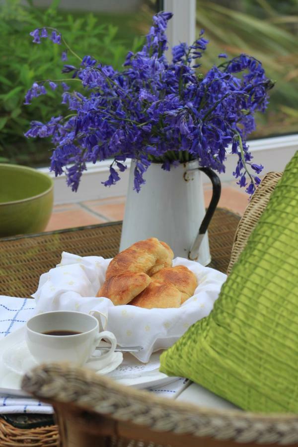 Ty Llwyd Bed & Breakfast Treffynnon Luaran gambar